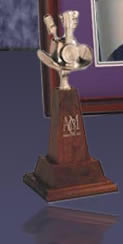 ACM Award