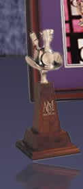 ACM Awards