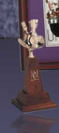 ACM Awards
