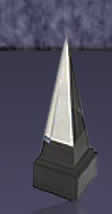 AMA Award